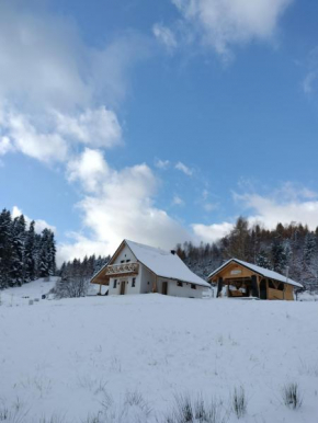 Domek Za Skałą, Kamesznica